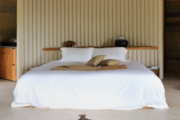 naked Stables Opens on Moganshan