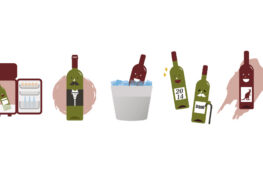 5 common wine myths debunked