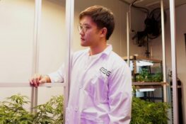 Meet one of the future leaders of Thailand’s cannabis industry