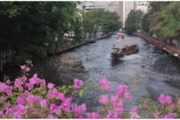 Electric canal boats to launch as soon as November