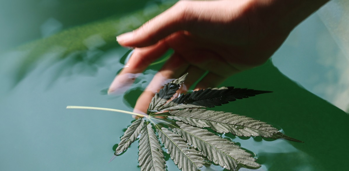Herbal Remedy: Soothe yourself with Panpuri’s cannabis wellness experience