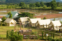 A foraging food tour in the Chiang Rai jungle