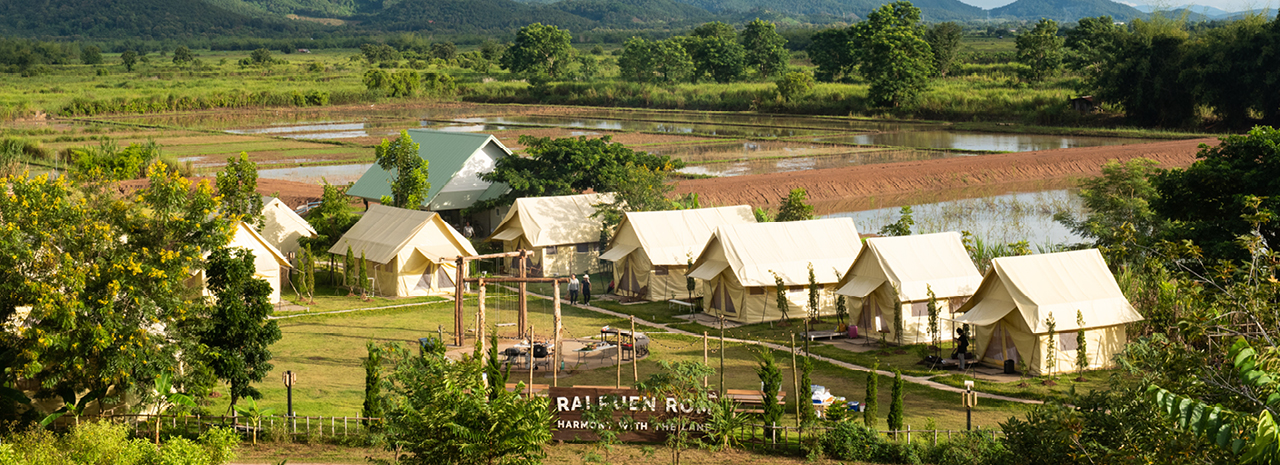 A foraging food tour in the Chiang Rai jungle