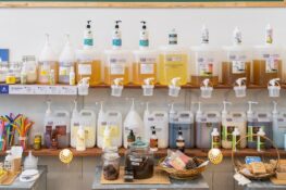 Learn how to live a sustainable lifestyle at this green event series