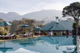 Heading to Sri Lanka? Here are three ways to enjoy your visit