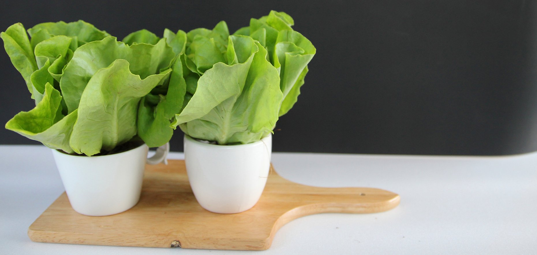 This company delivers farm-fresh local produce to your door