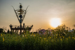 Wonderfruit launches a season-long offshoot for people living in Thailand