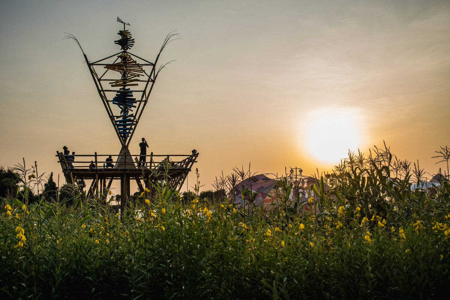 Wonderfruit launches a season-long offshoot for people living in Thailand