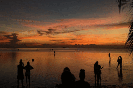 Bangkok, Chiang Mai, or Koh Phangan? Where to remote work in Thailand.