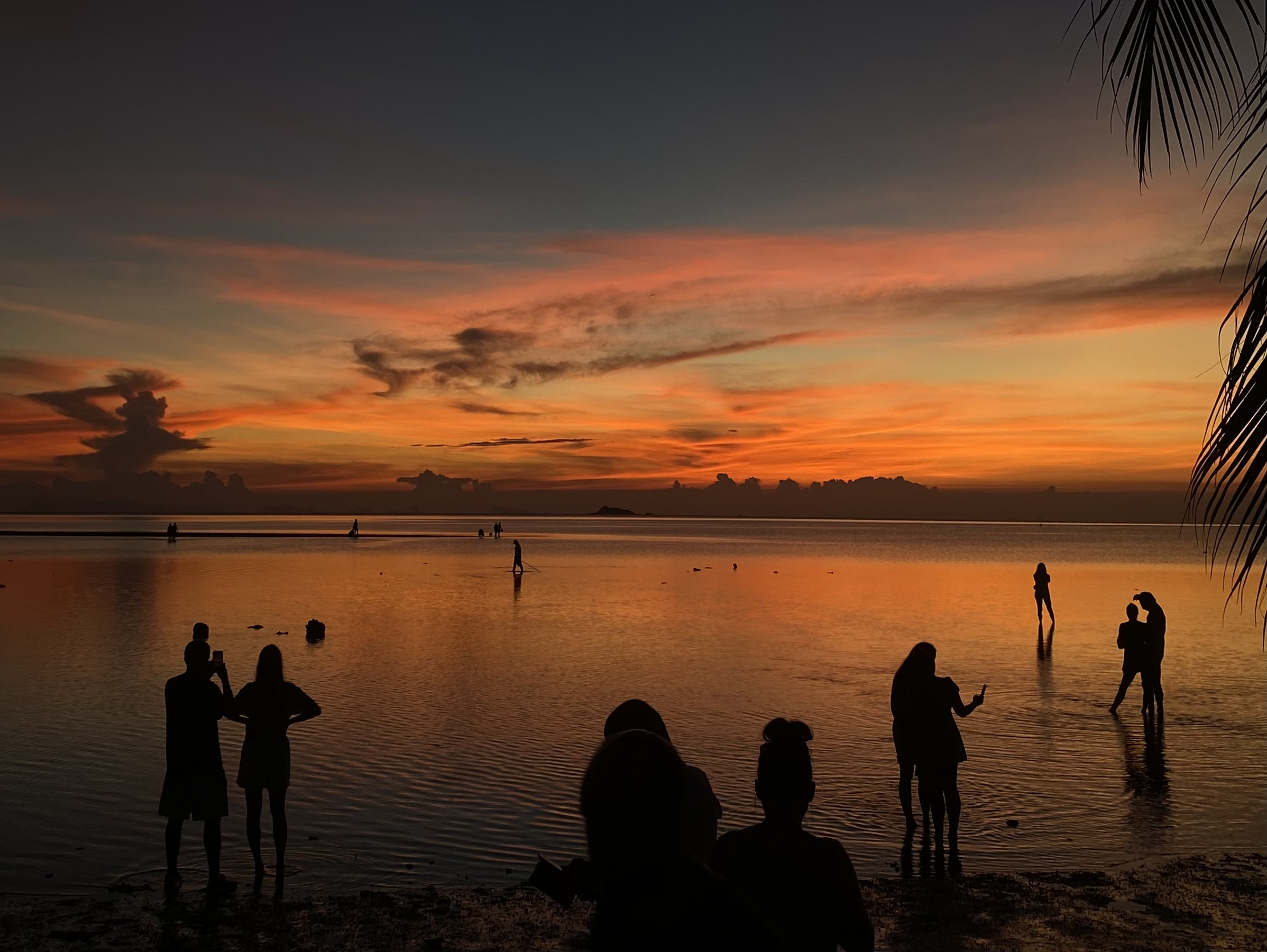 Bangkok, Chiang Mai, or Koh Phangan? Where to remote work in Thailand.