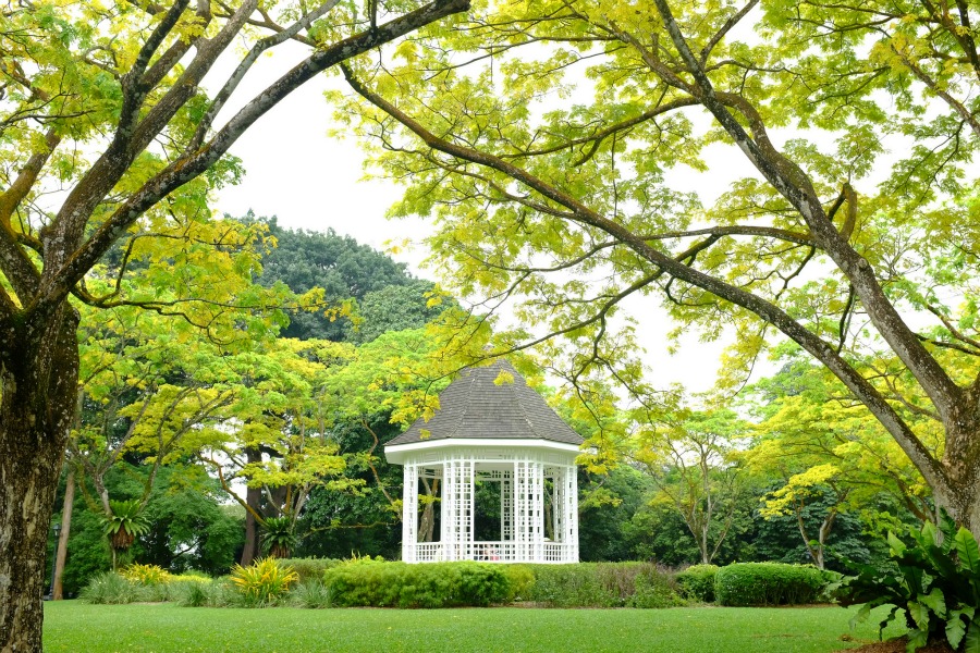 15 amazing nature shots that you won’t believe are in Singapore