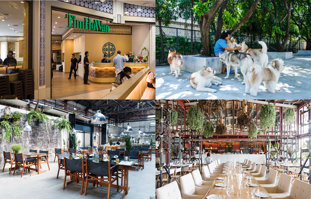 The 15 most popular restaurants on the BK website for 2015