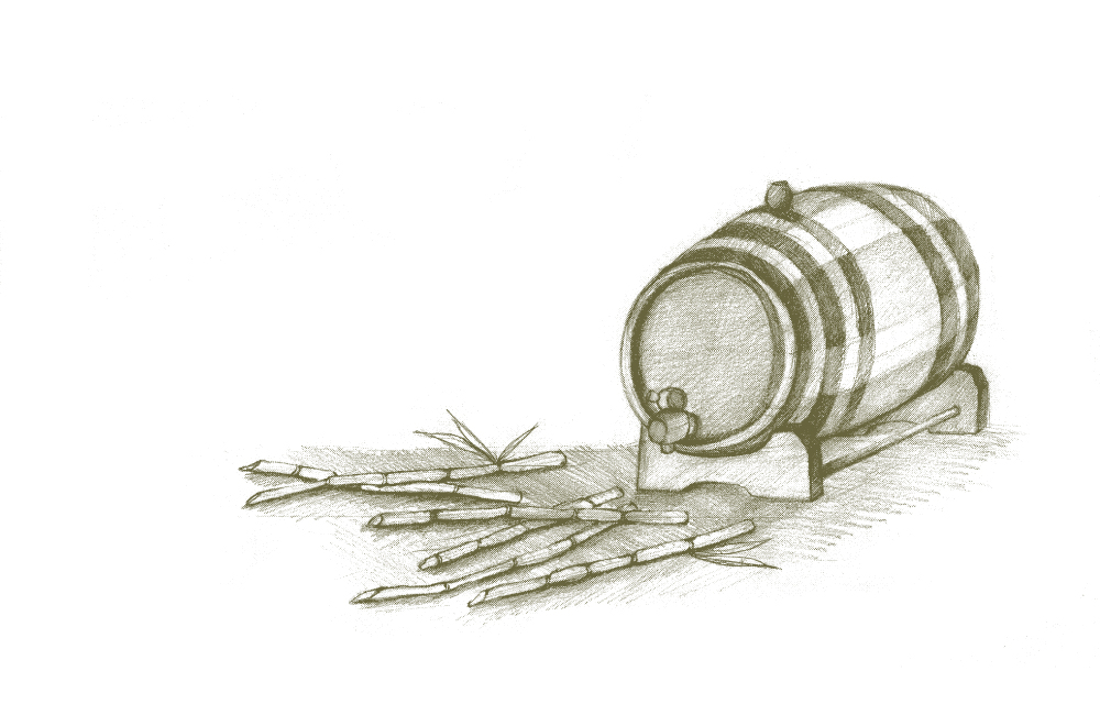 Taste Test: The best dark rums to drink on the rocks