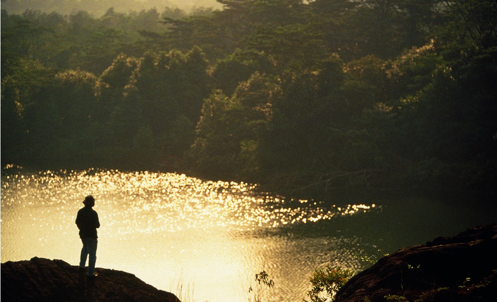 9 of the best places to explore nature in Singapore