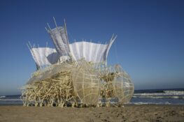 5 great reasons to head up to George Town Festival 2016