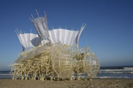 5 great reasons to head to George Town Festival 2016