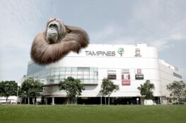 Browhaus and Strip now open at Tampines 1