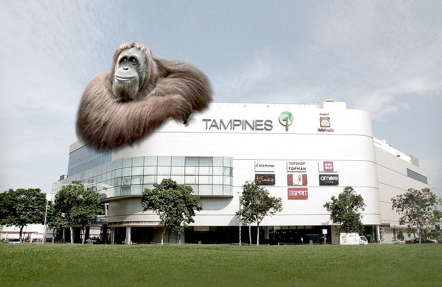 Browhaus and Strip now open at Tampines 1