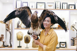 The surprisingly touching tale of a Bangkok taxidermist