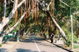 Why the Sathorn community flocks to this cemetery for exercise