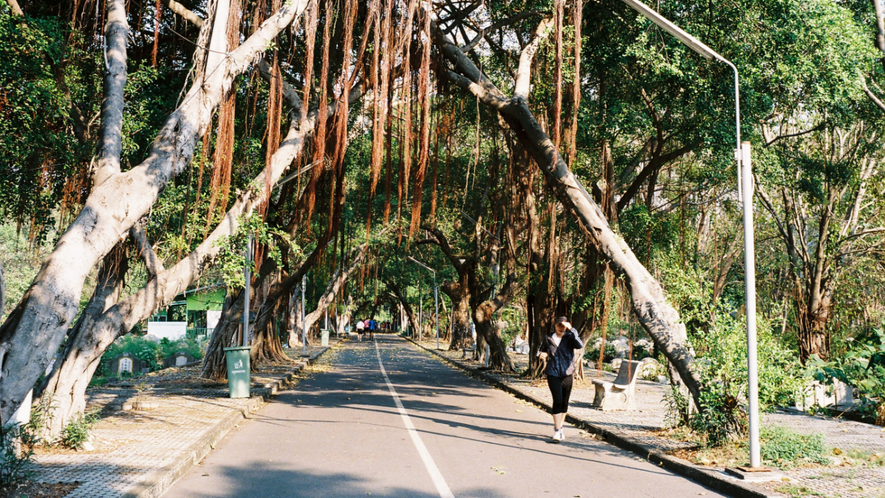 Why the Sathorn community flocks to this cemetery for exercise
