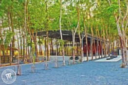 Get ready for Songkran at Phuket’s largest fitness camp