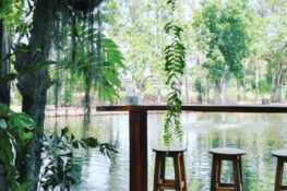 Venture into the jungle for some sweet treats and fresh air