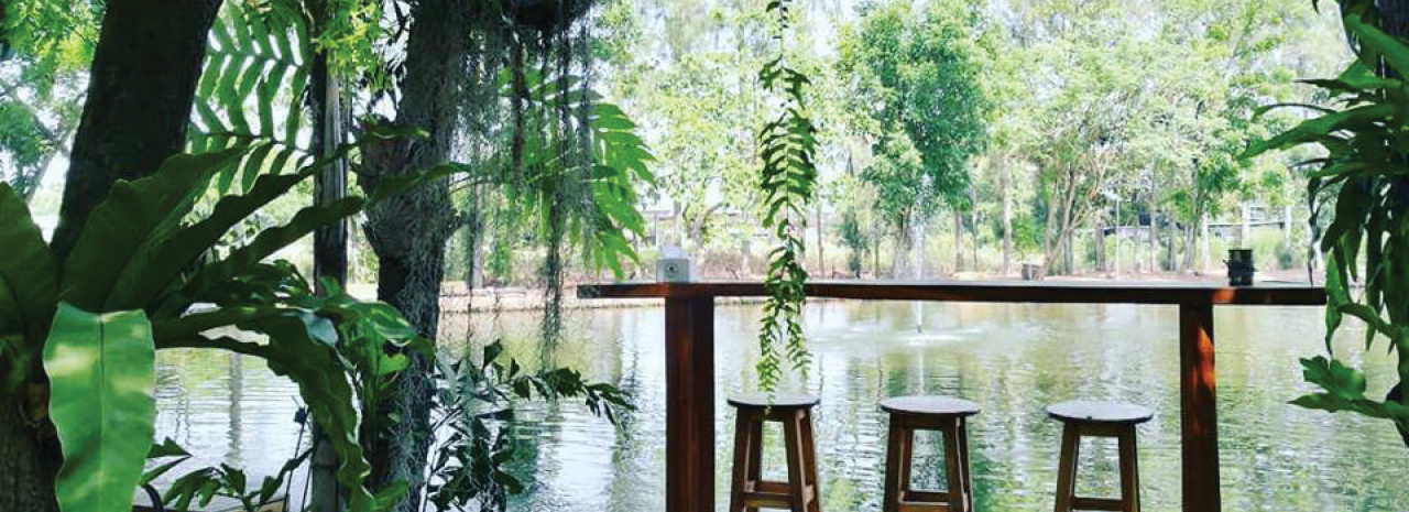 Venture into the jungle for some sweet treats and fresh air