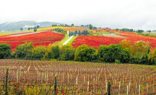 Do the Right Italian Job in Umbria