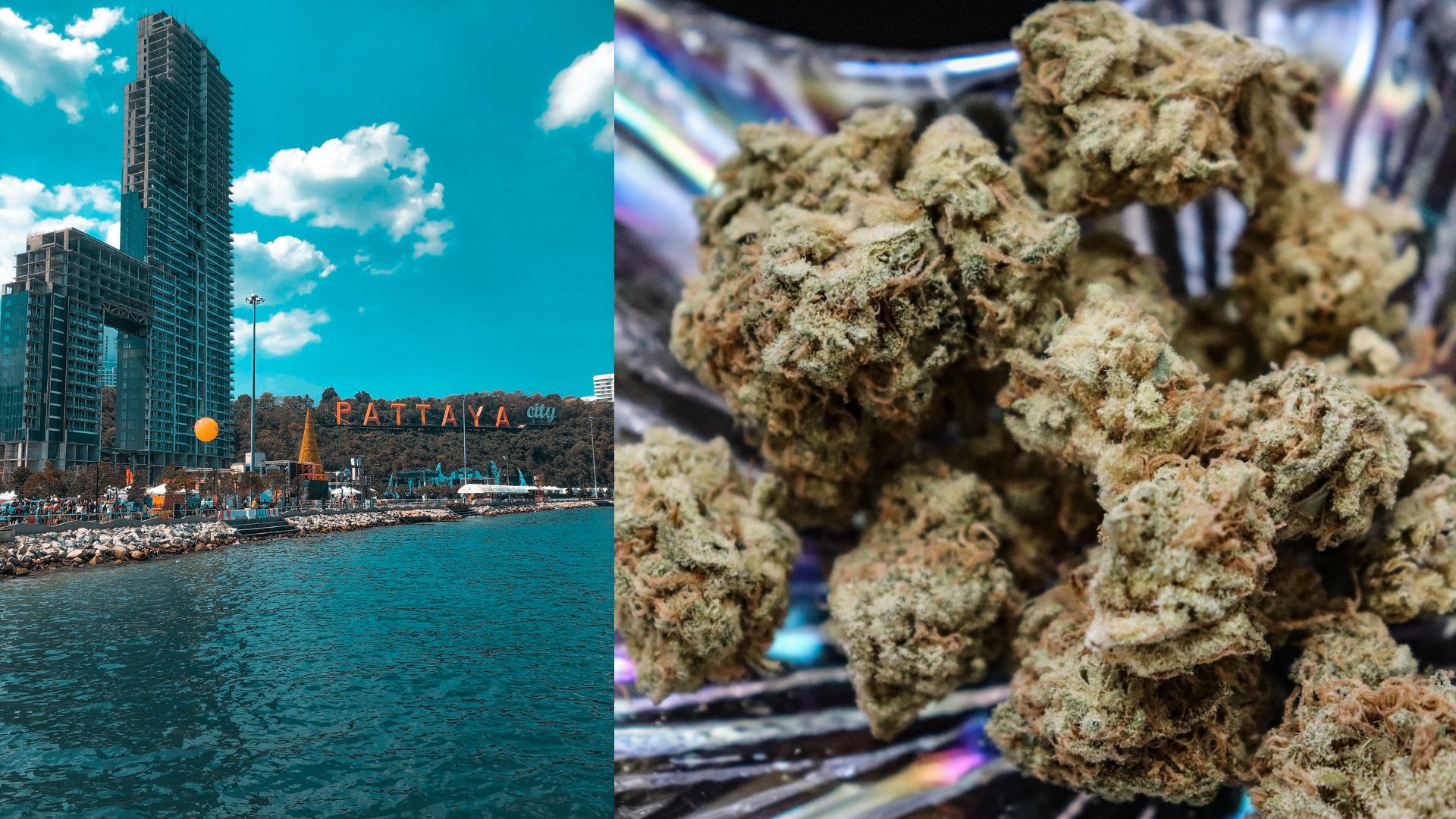 Here’s where you can buy cannabis in Pattaya right now (Weed Map)