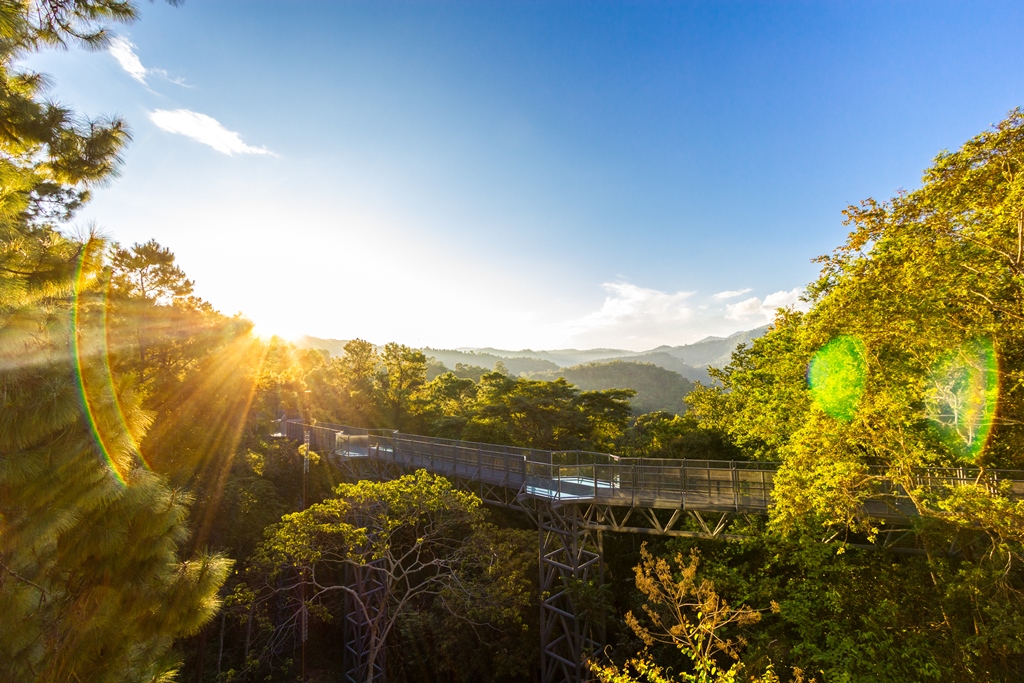 Chiang Mai’s canopy walkway will take your hiking experience to dizzying new heights