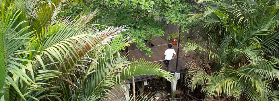 Karma Klique kicks off 2020 with a back-to-nature party