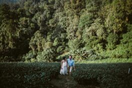 There’s an easy way to get those Kinfolk-like pre-wedding photos