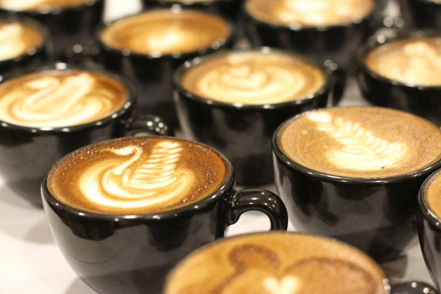 Thailand Coffee Festival