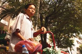 Junk Collector Vichian Kalamandee