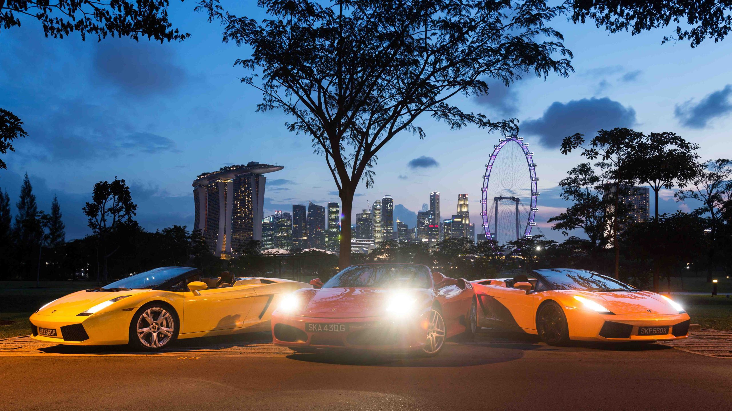 Need for Speed