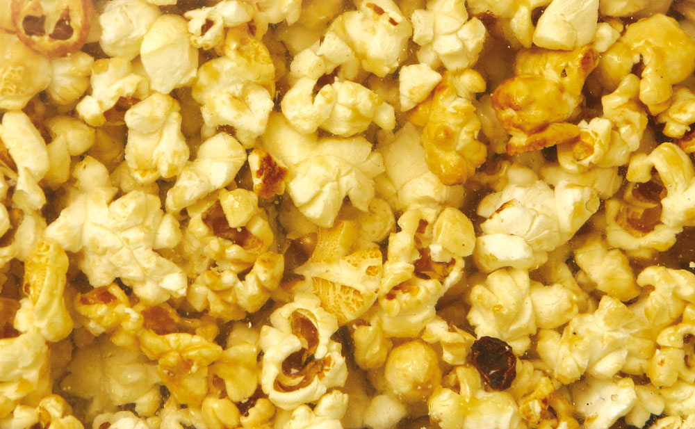 Trans Fat Terror – A Trivia Quiz
