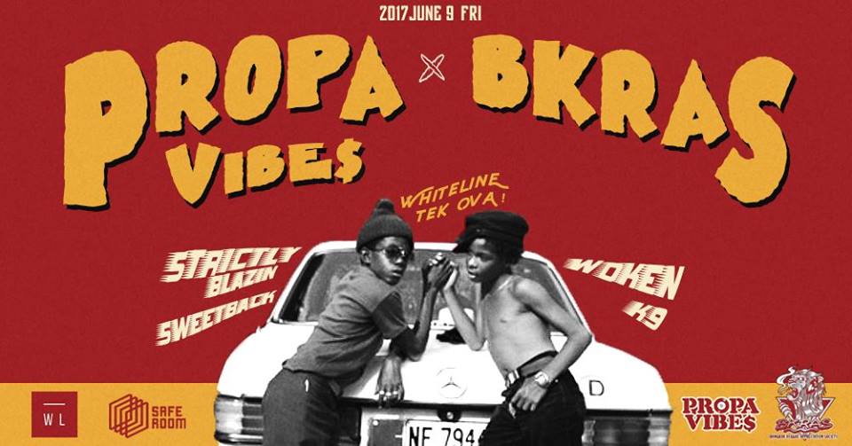 PROPA VIBE$ X BKRAS