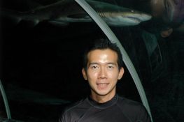 Akira Yeo swims with sharks