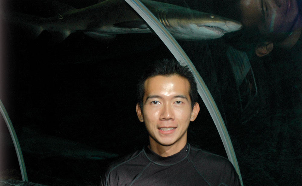Akira Yeo swims with sharks