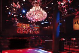 Niche Bars and Clubs