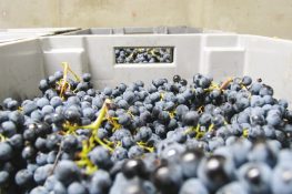 Old Methods in New Bottles
