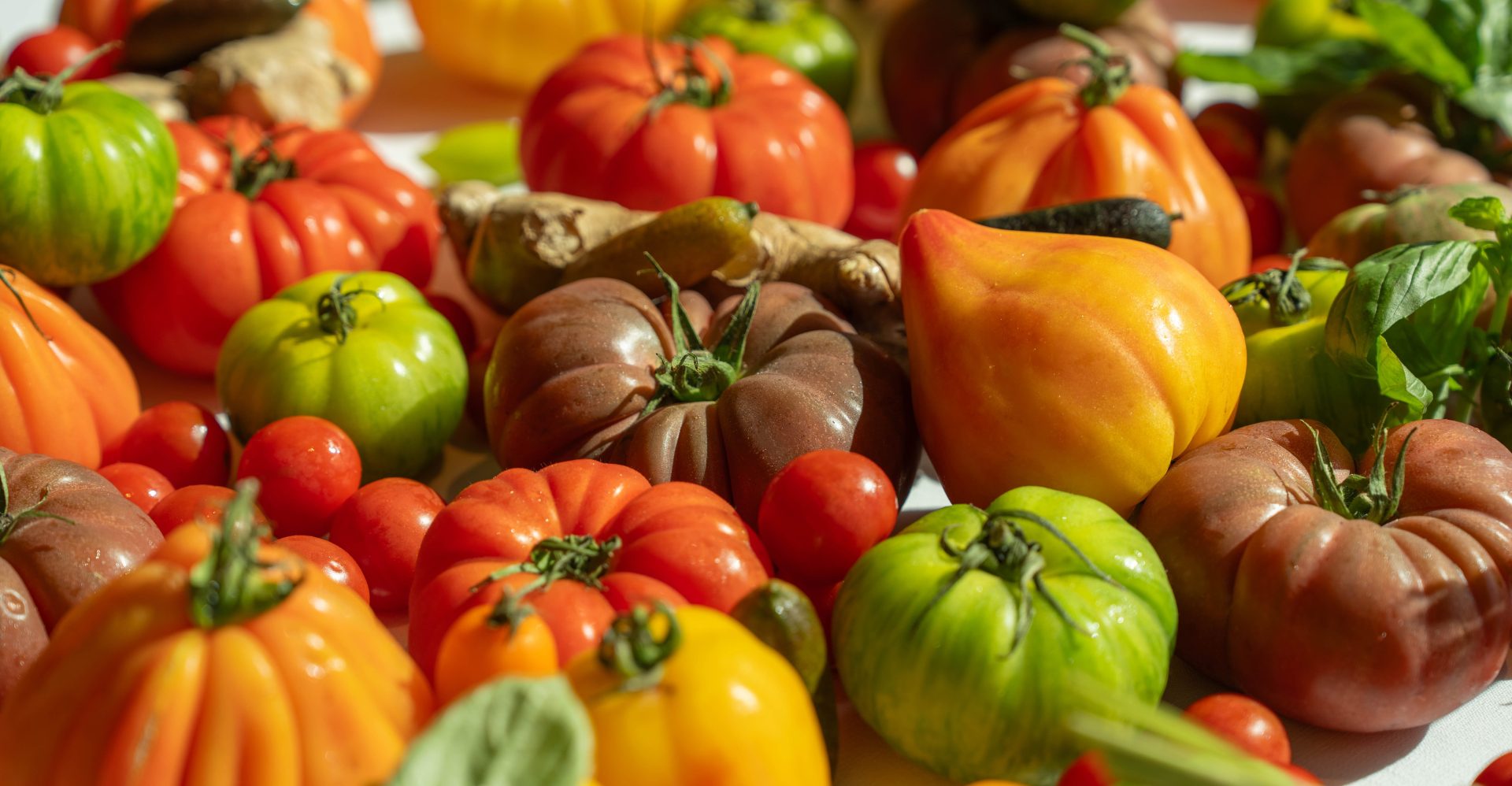 What happens when one of Bangkok’s best kitchens takes the tomato seriously?