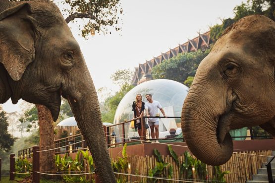 Anantara marks its quarter-century legacy with curated experiences and more