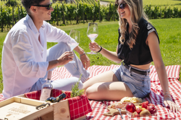 The terroir of Gusti Wine comes from the distinctive surrounds of Montello